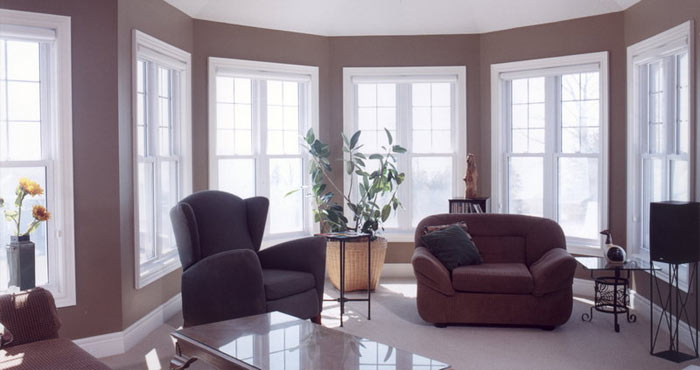 Single and Double Hung Windows